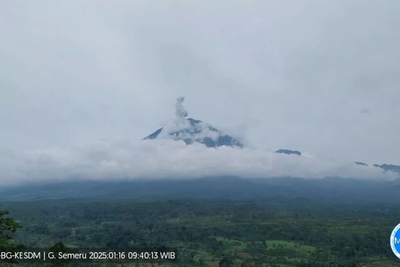 Gunung Semeru Erupsi Lagi