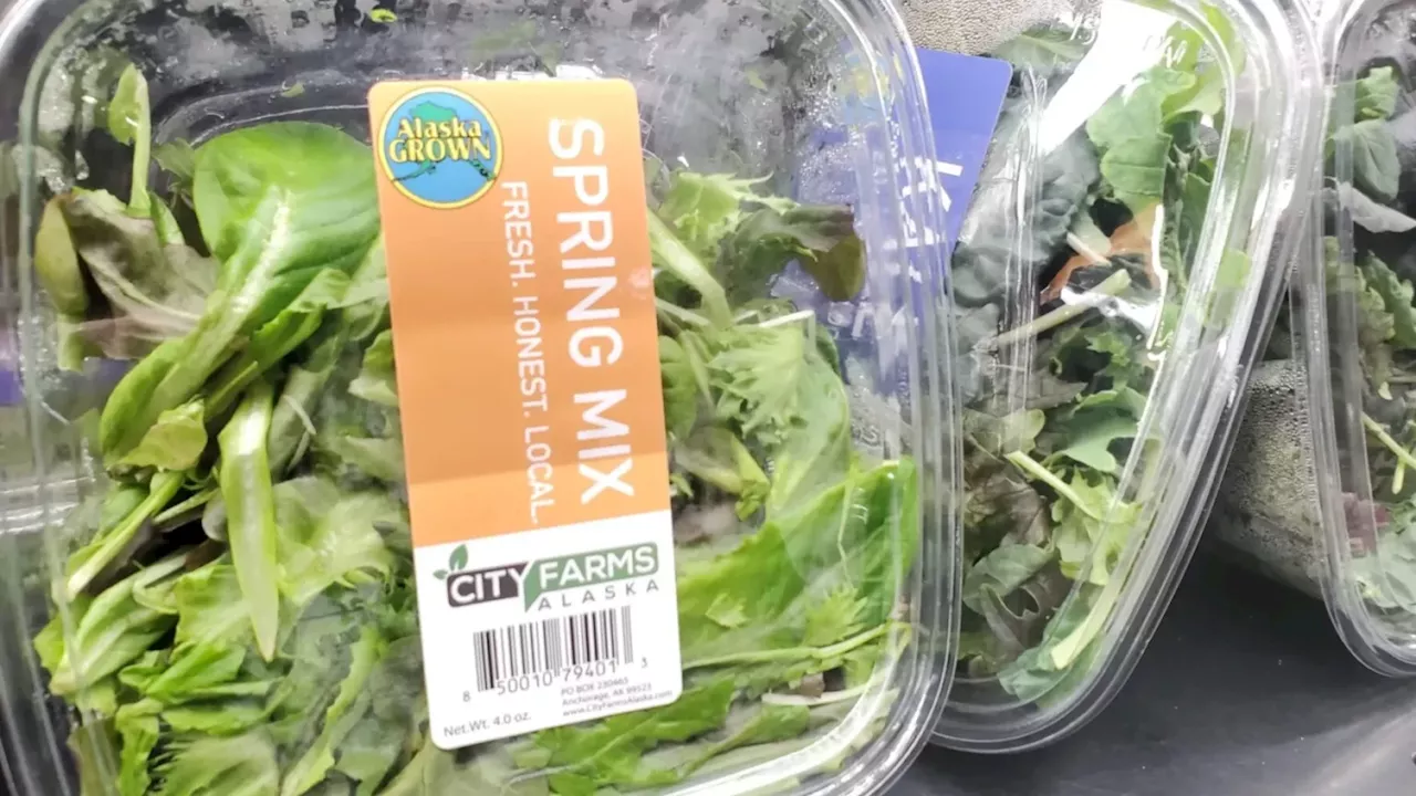 Alaska Shoppers Willing to Pay Premium for Locally Grown Lettuce