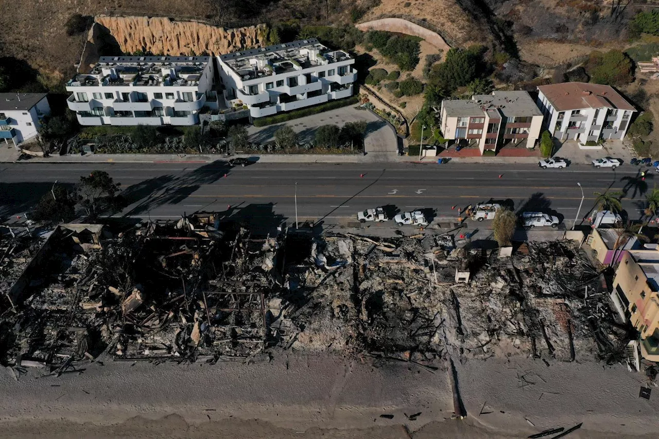 Dévastée par les incendies, Los Angeles bénéficie d'une accalmie des vents