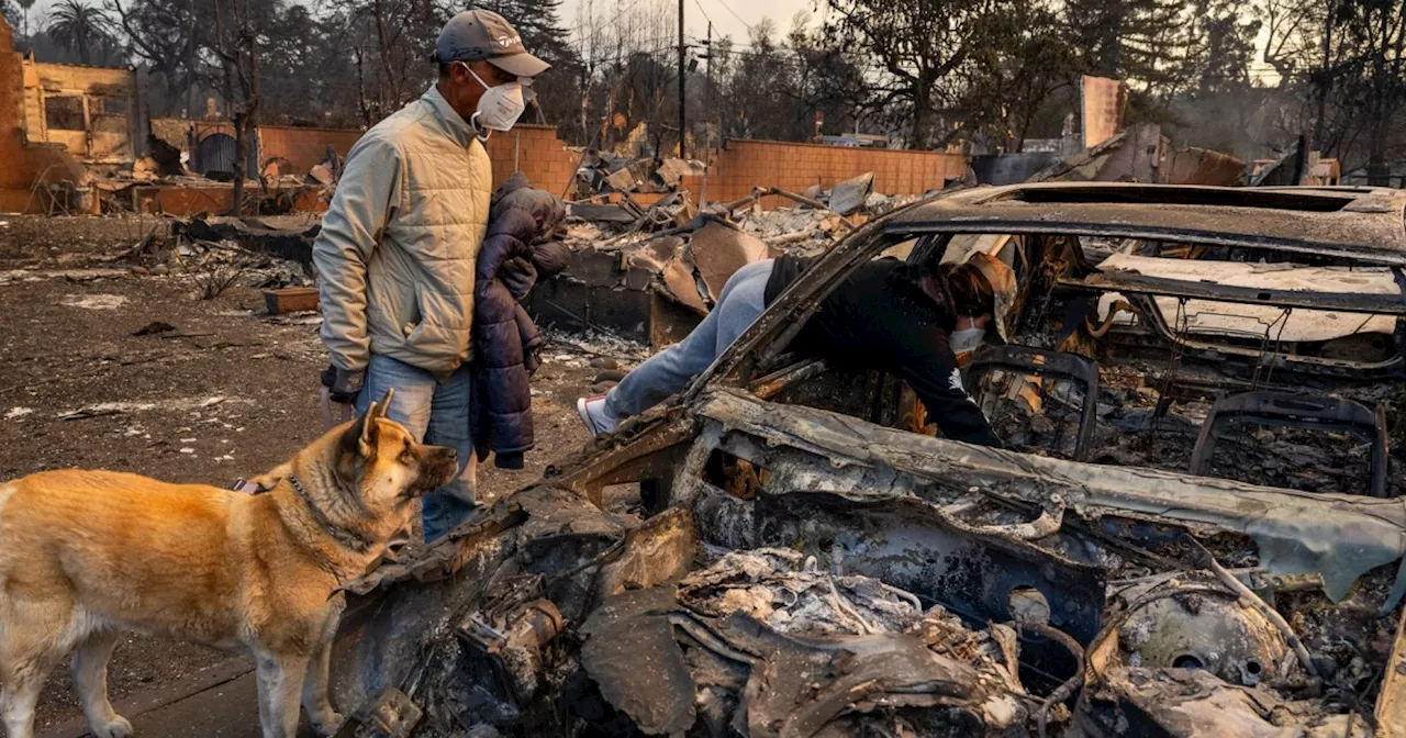 Navigating Home Insurance, Wildlife Impact, and Utility Company Role After LA Wildfires