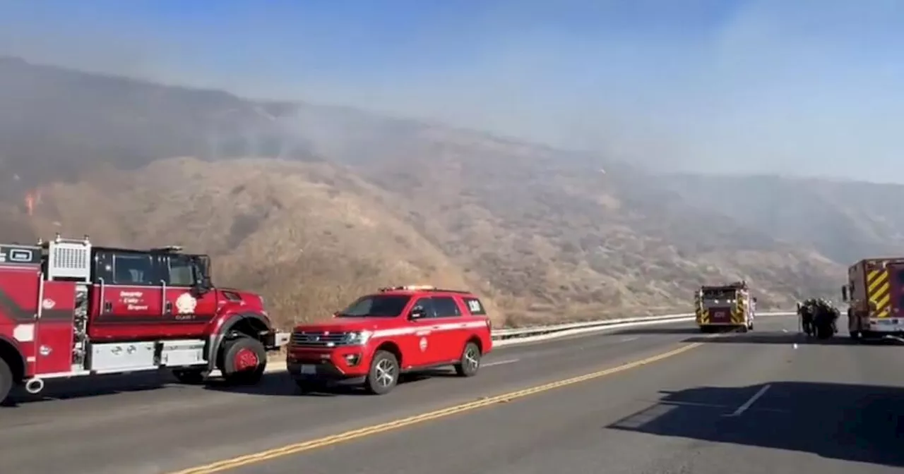 Man Arrested in Connection with Wildfire Amidst Arson Concerns in Southern California