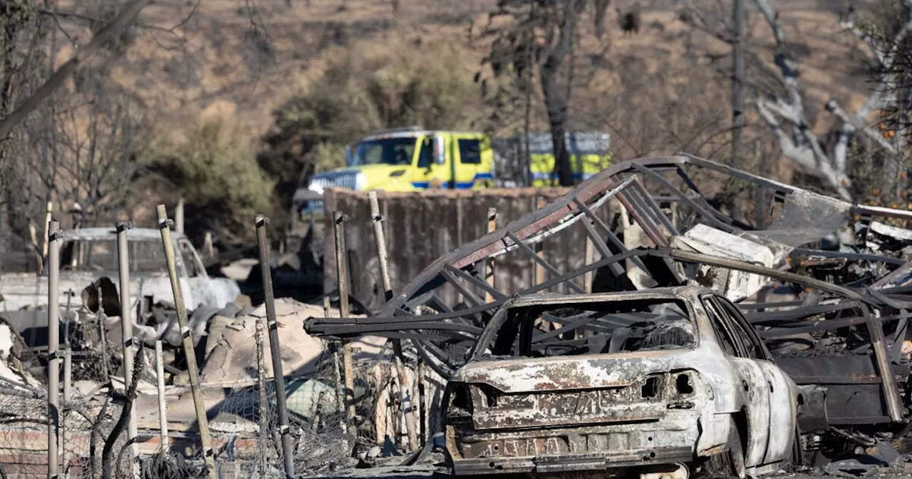 Wildfire Victims Face Despair and Frustration as Recovery Efforts Begin