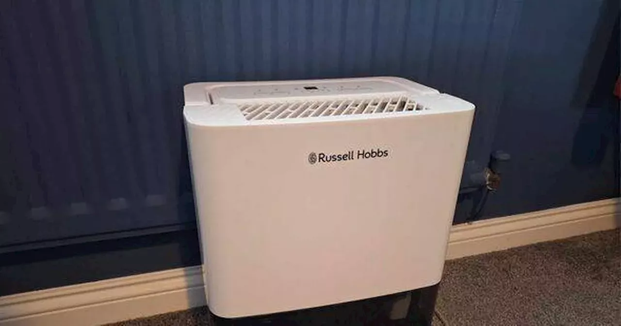 My Dehumidifier Obsession: A Game-Changer for Damp Homes