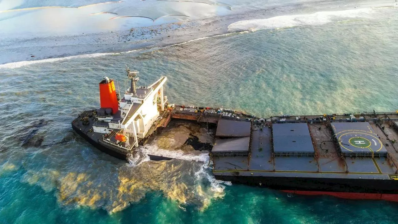 Kandasnya Kapal Tanker Jessica dan Dampak Ekologisnya di Kepulauan Galapagos