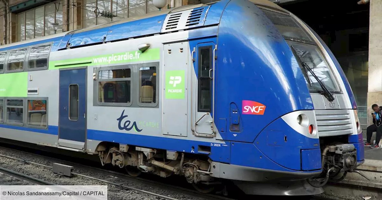 Ces usagers utilisent de faux billets pour dénoncer les retards et suppressions de trains