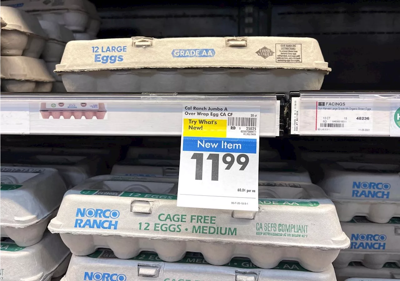 Egg Prices Soar Due to Bird Flu