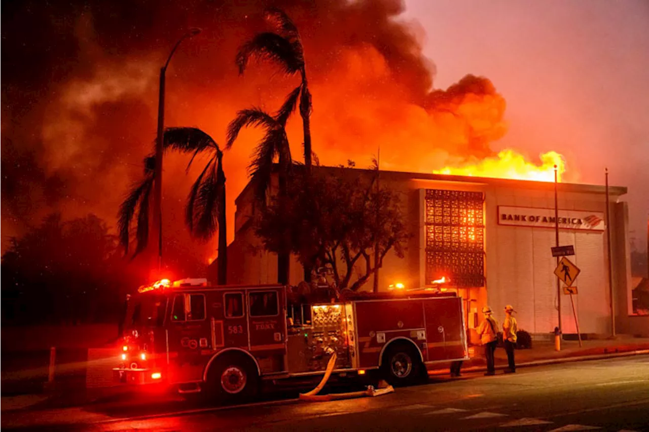 Wildfires Devastate Los Angeles, Leaving Scars on Residents and Landscape