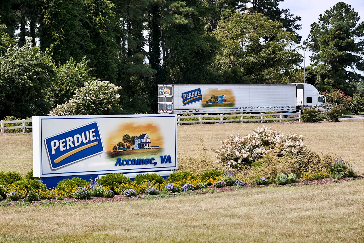 Perdue agrees to pay $4 million after children worked hazardous jobs, Labor Department says