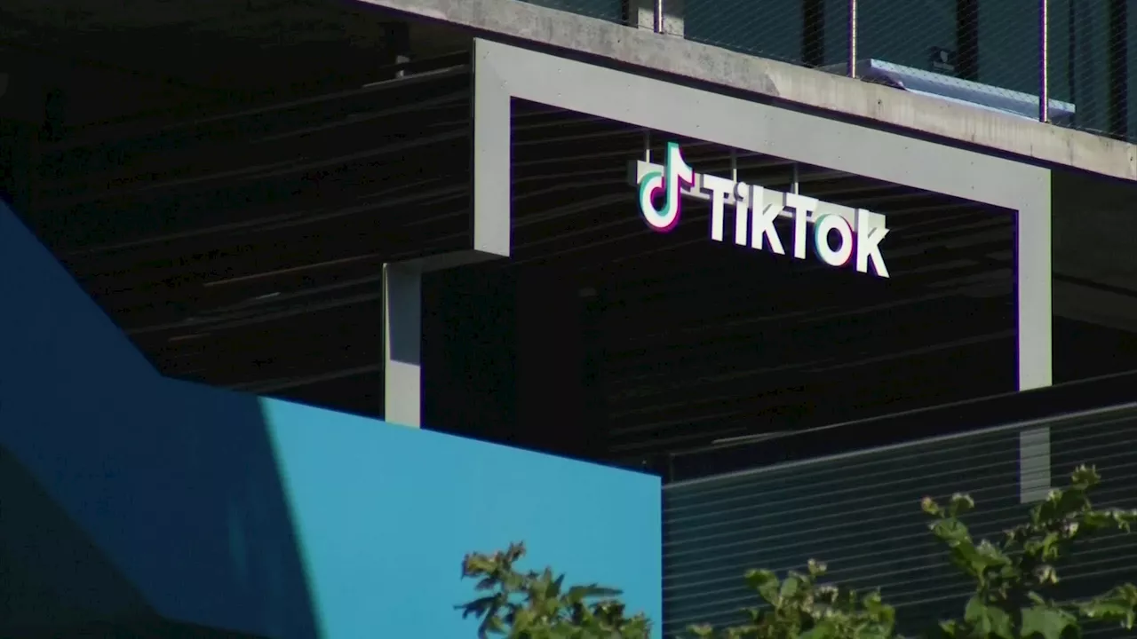 TikTok Ban Looms: Dallas Entrepreneurs Brace for Impact