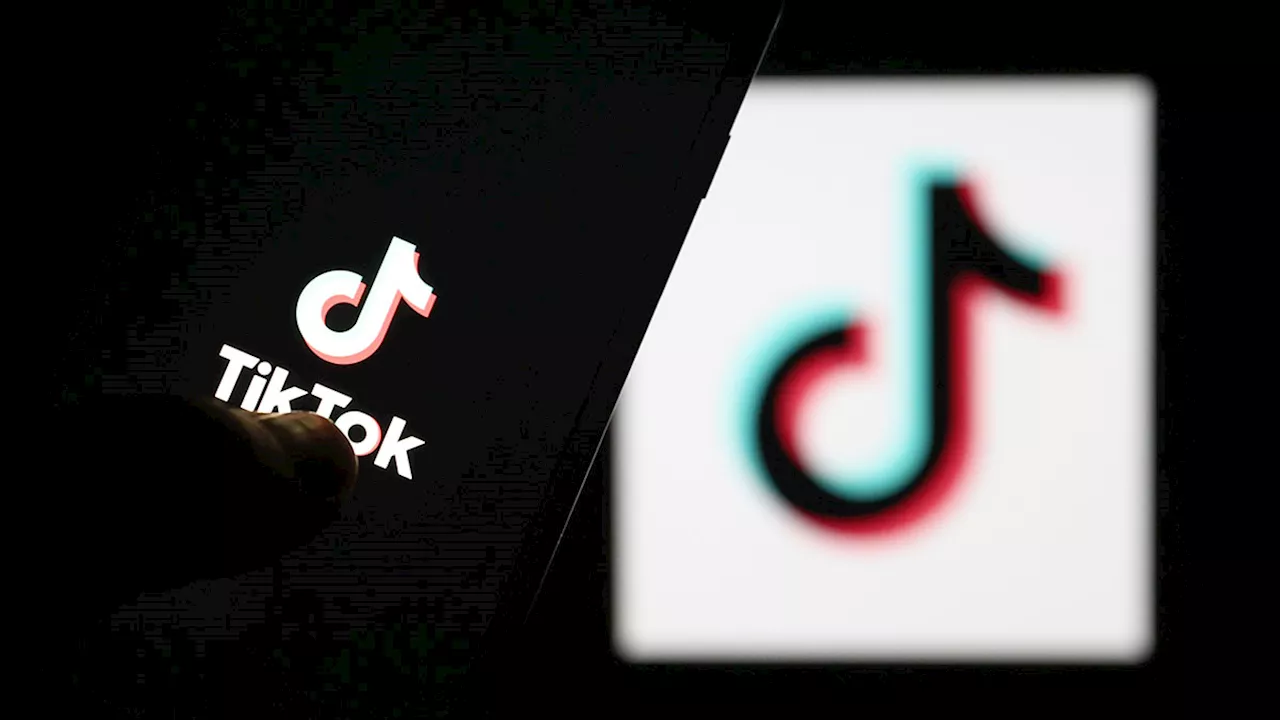 TikTok Faces Shutdown in US if Supreme Court Upholds Law