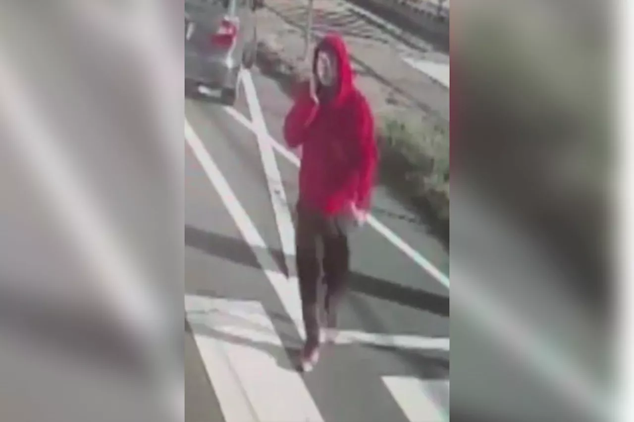 Driver sought after woman hurt in Bustleton Ave. hit-and-run