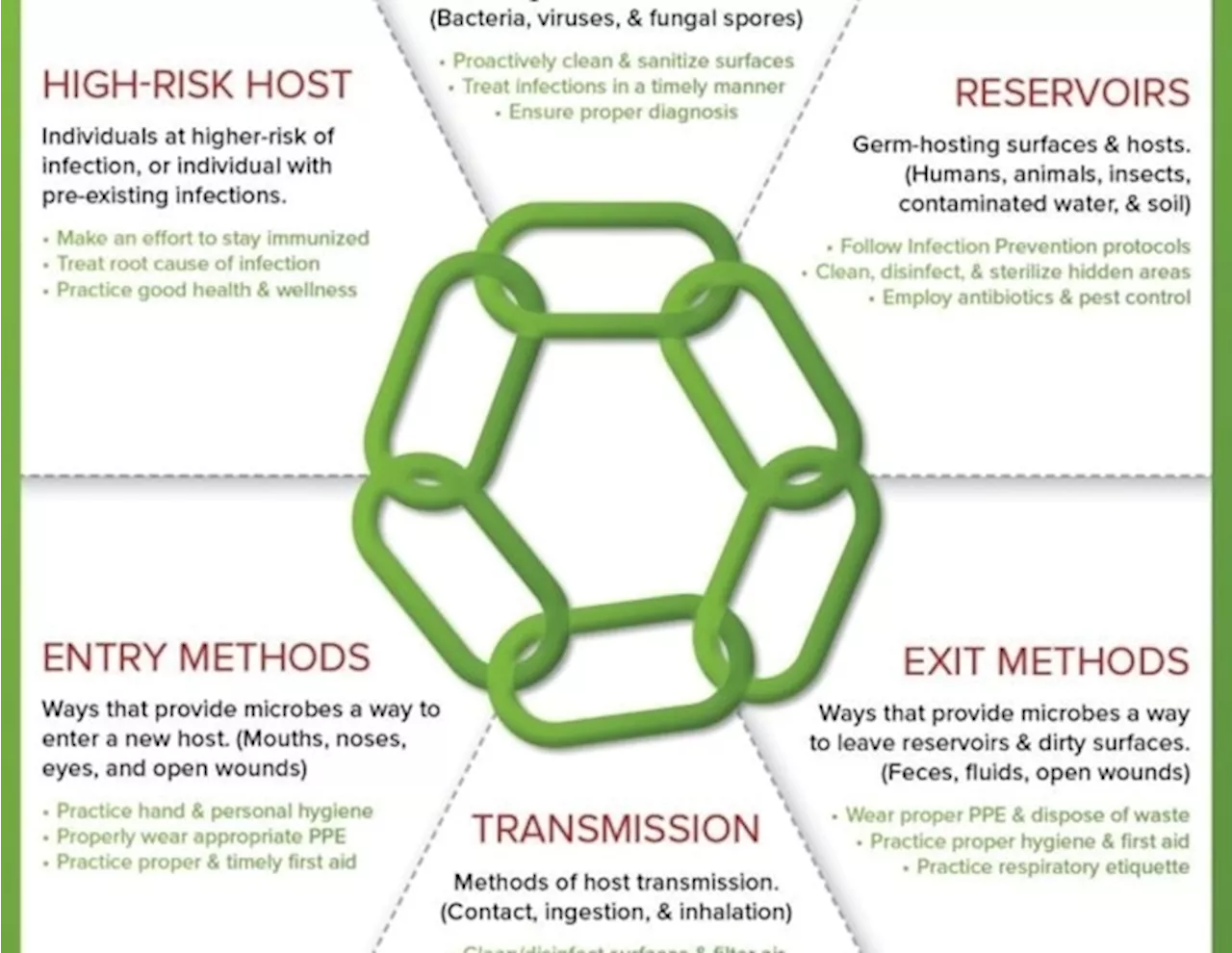 Breaking the Chain of Infection: A Guide to Microbial Safety