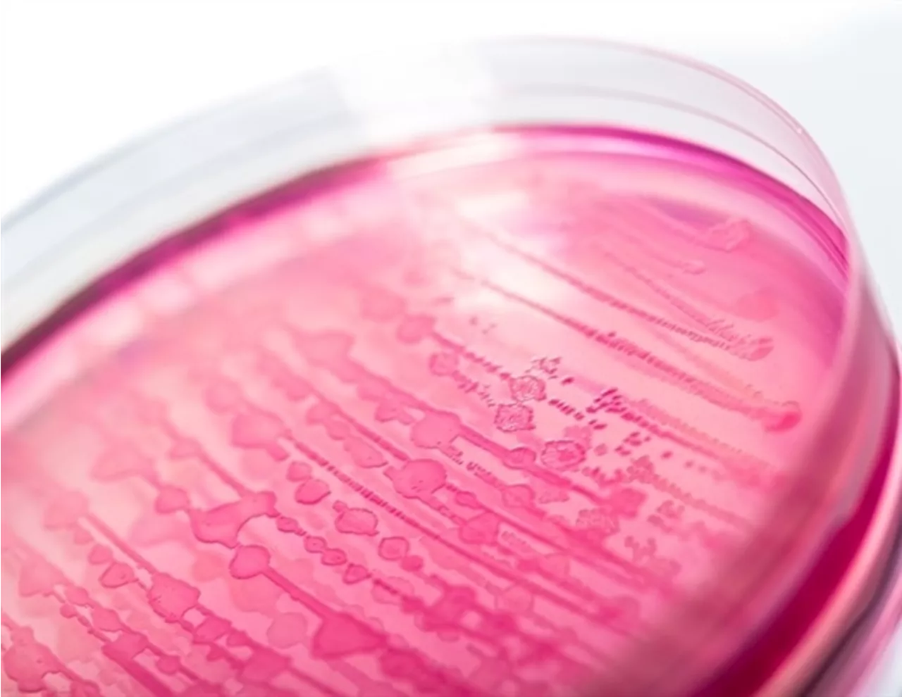 Extreme rainfall increases E. coli exposure for minority communities in Texas