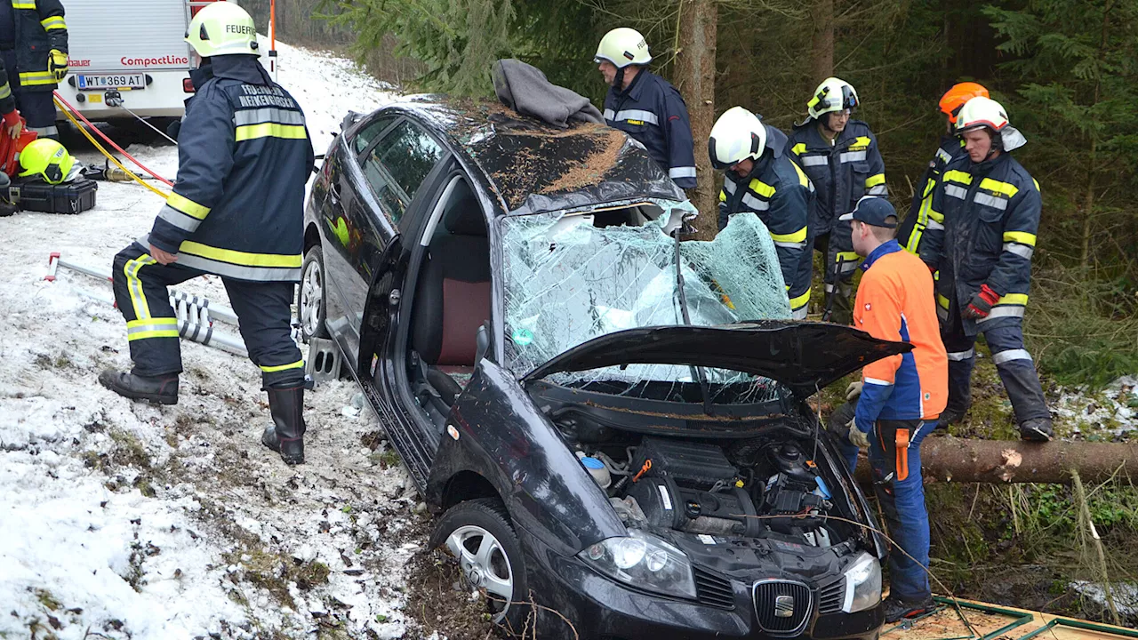 Gegen Baum geprallt: Feuerwehr rettete Mutter und Baby aus Unfallwagen