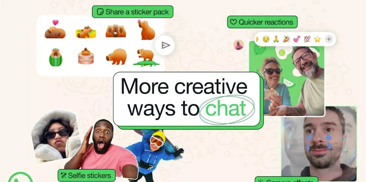 WhatsApp Steigert Die Funktionen: Personalisierte Sticker, Hintergründe und Reaktionen