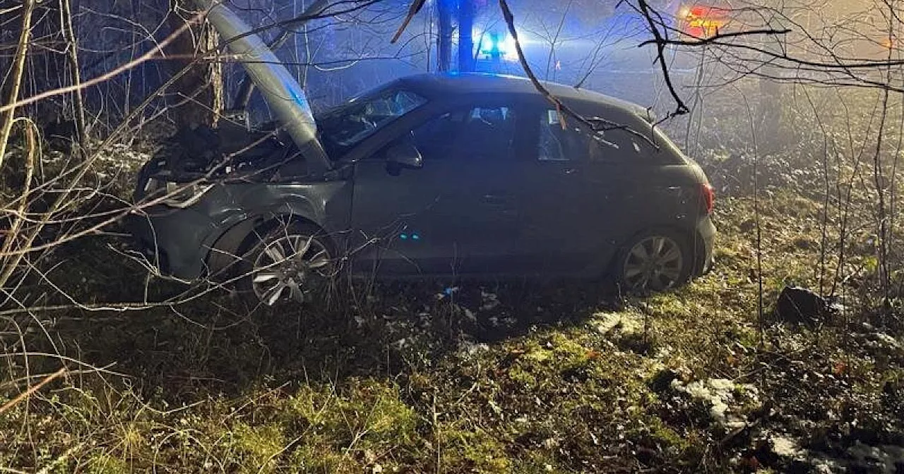 Unfall auf dem Senner Hellweg in Bielefeld: Audi landet im Wald