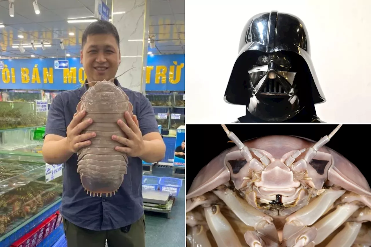 Darth Vader-Inspired Sea Bug Discovered Off Vietnam