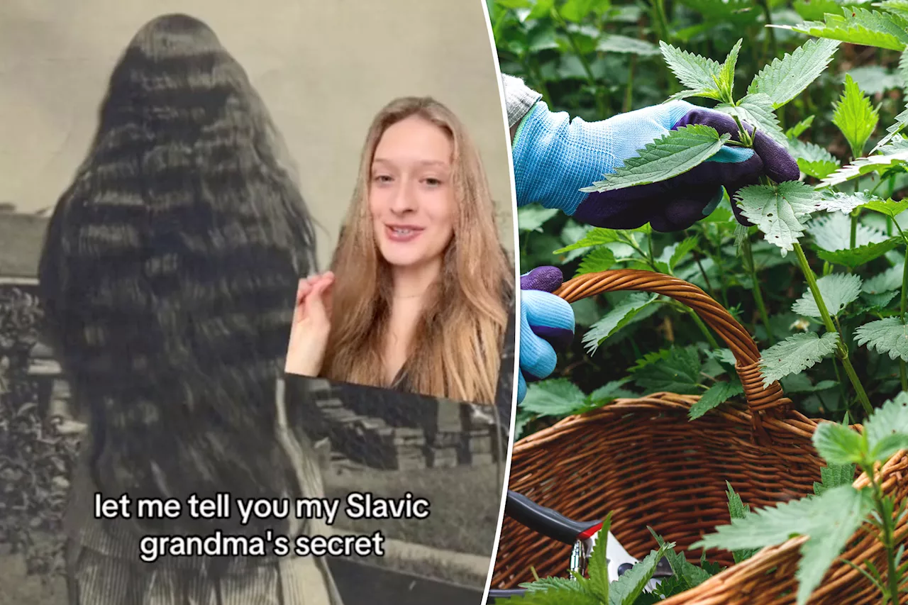 Stinging Nettle: The Balkan Secret to Luscious Hair