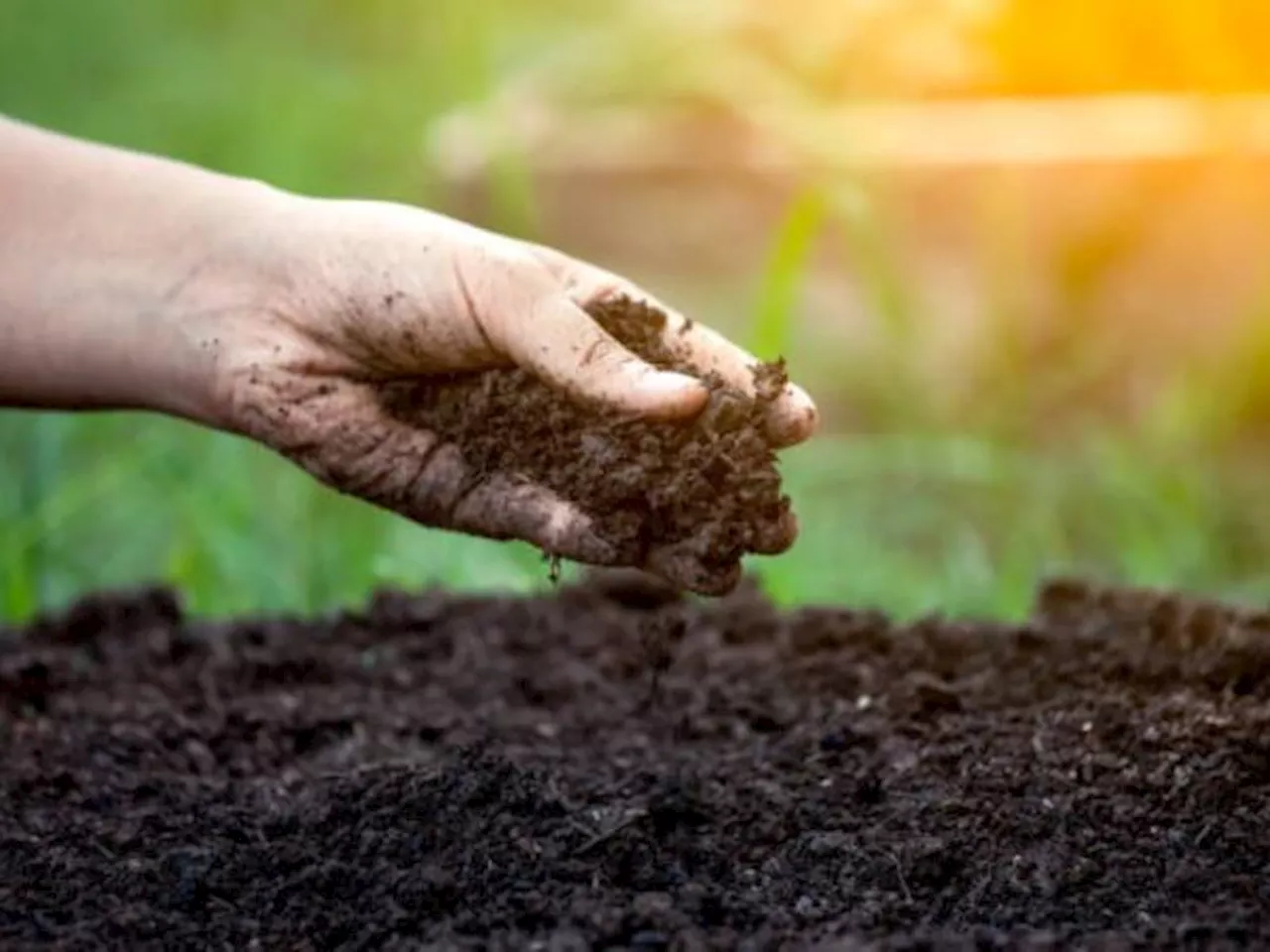 Decisión del Ministerio de Agricultura sobre ZPPA genera controversia en la región