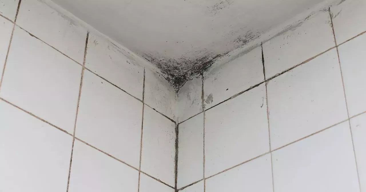 10-Minute Bathroom Hack Stops Mould Growth, Property Experts Say