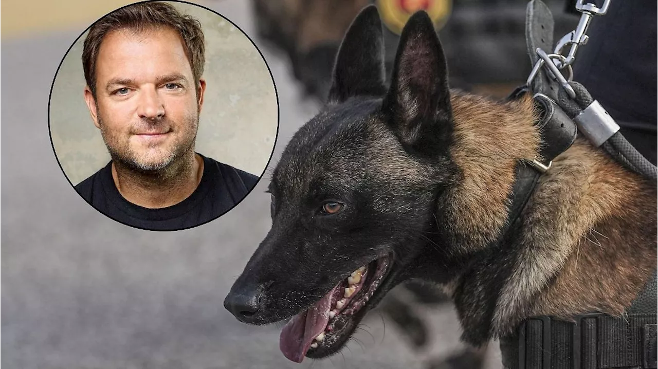 Umstrittener Polizeihund-Einsatz in Riesa – Martin Rütter schockiert: „Tiermissbrauch”!