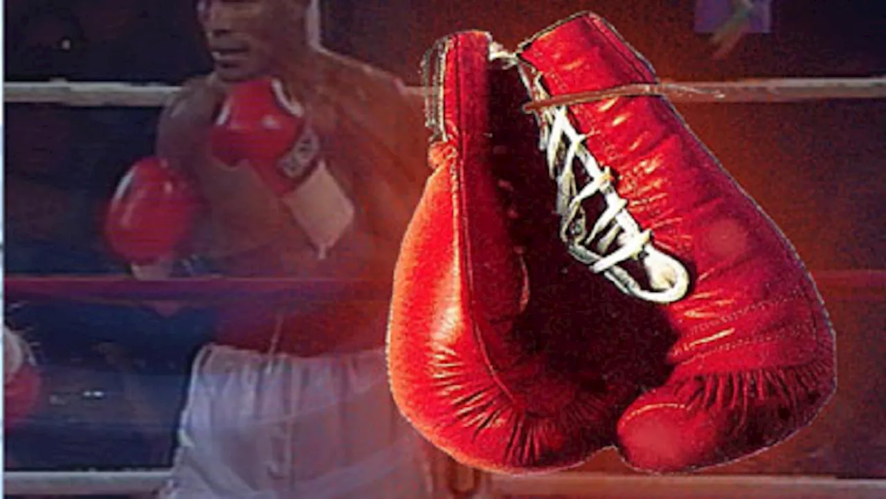 South Africa's Boxing Champions To Face Off in Historic Match