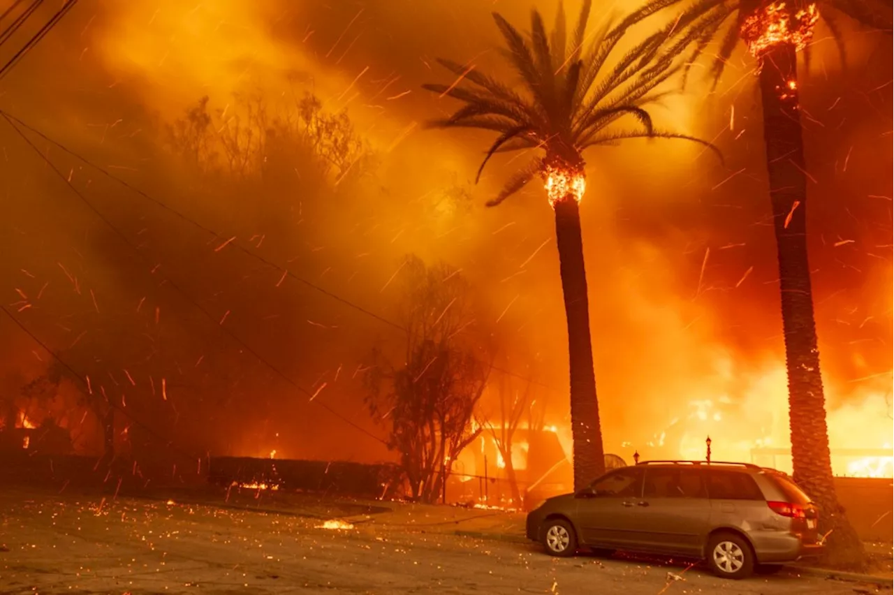 Lessons Learned From the Los Angeles Wildfires