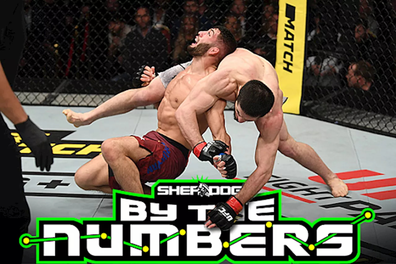 By The Numbers: UFC 311 Pre-Fight Edition