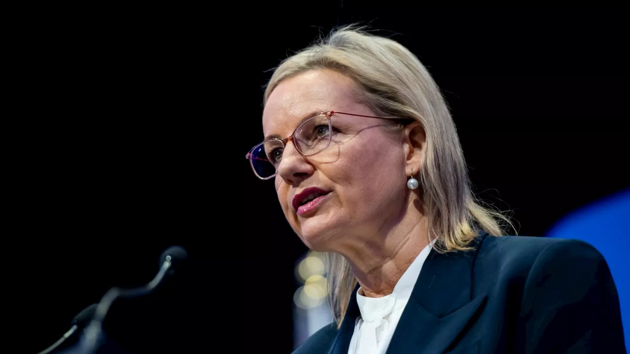 Sussan Ley to investigate undeclared trip expenses funded by Palestinian Authority