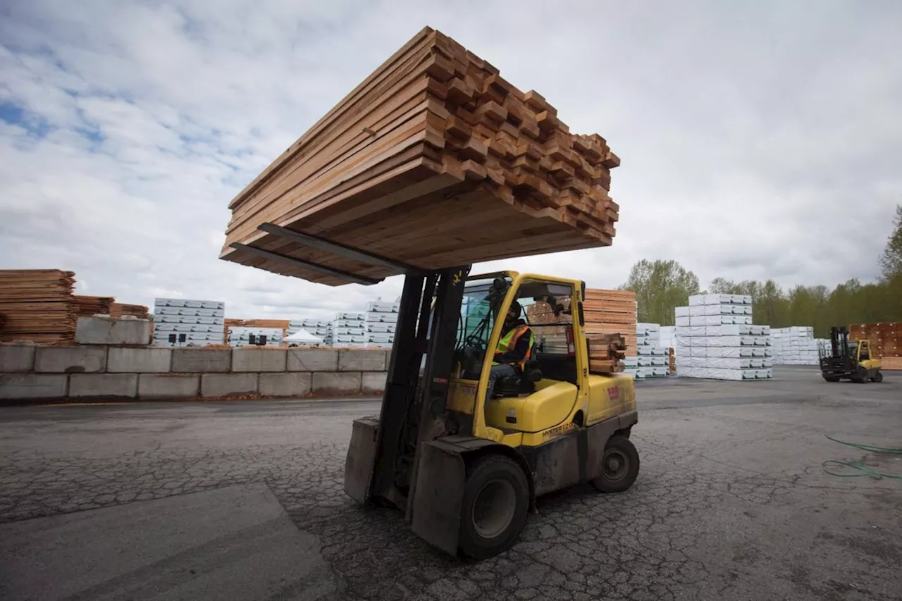 Trump Tariffs and Lumber Duties Threaten B.C. Forestry Sector