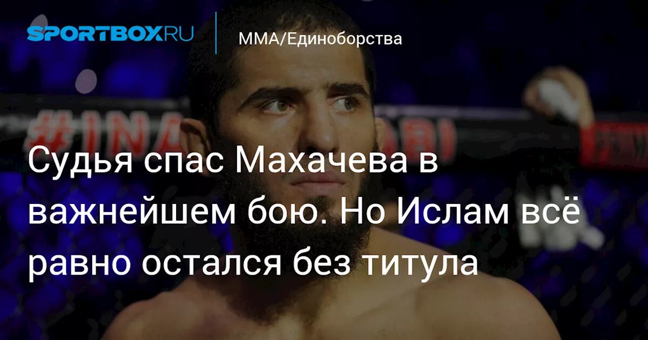 Махачев сразится с Царукяном за чемпионский пояс UFC 311