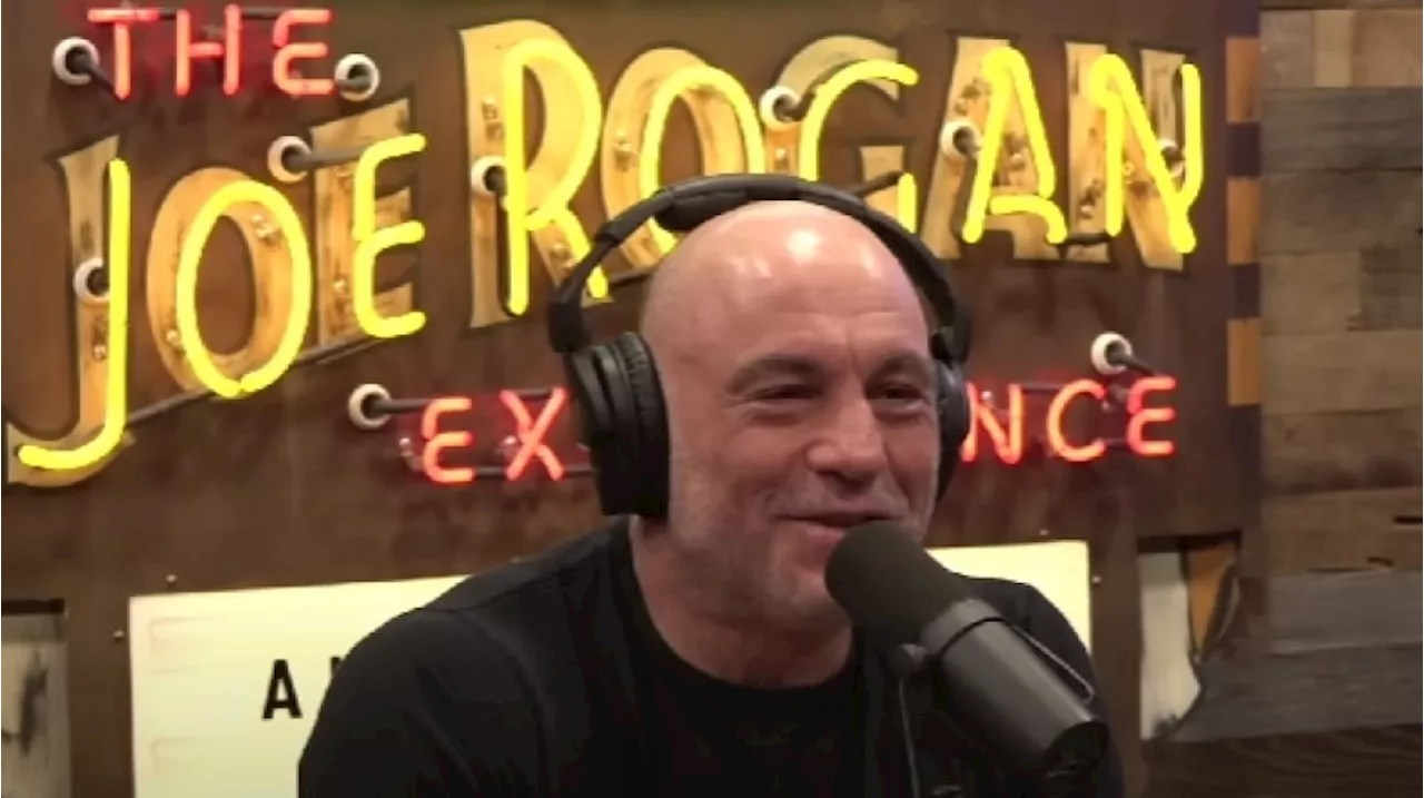 Profil Joe Rogan, Podcaster yang Viral Disebut Sudah Prediksi Kebakaran Los Angeles