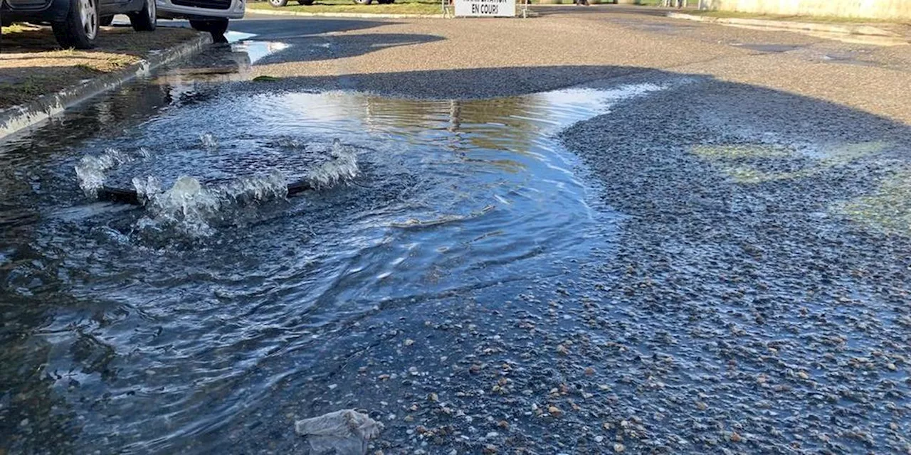 Sur le bassin d’Arcachon, de vives réactions après la possible autorisation du rejet d’eaux usées dans la nature