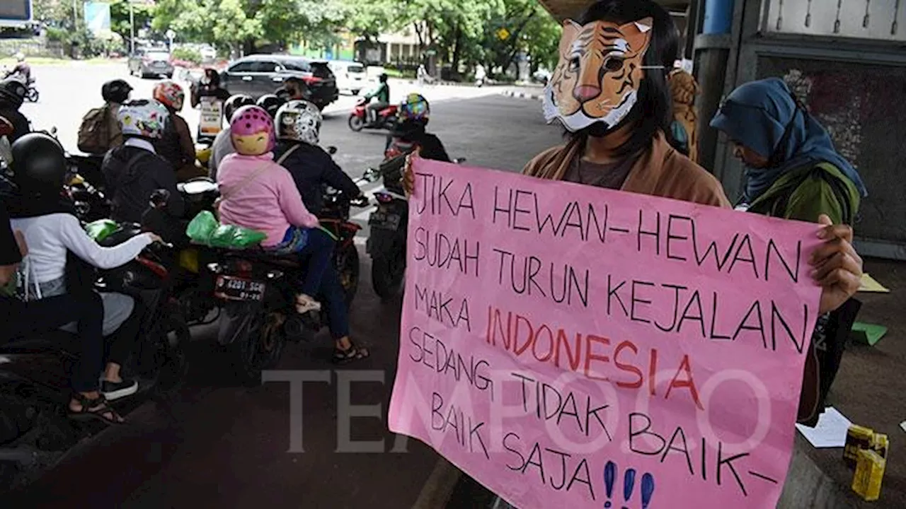 Walhi Kritik Kebijakan Prabowo yang Lanjutkan Perusakan Lingkungan