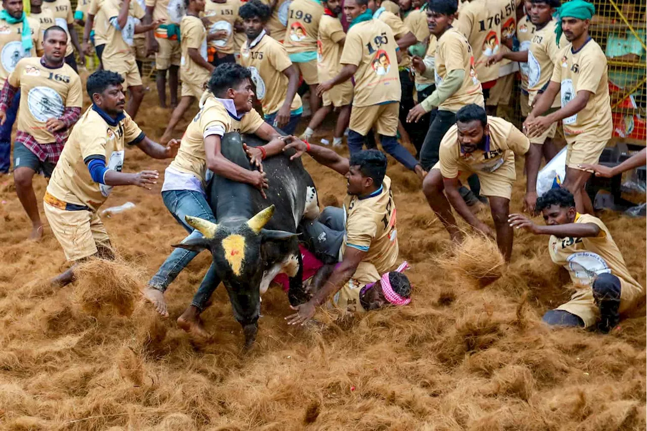 Through the Lens: Global Scenes Captured