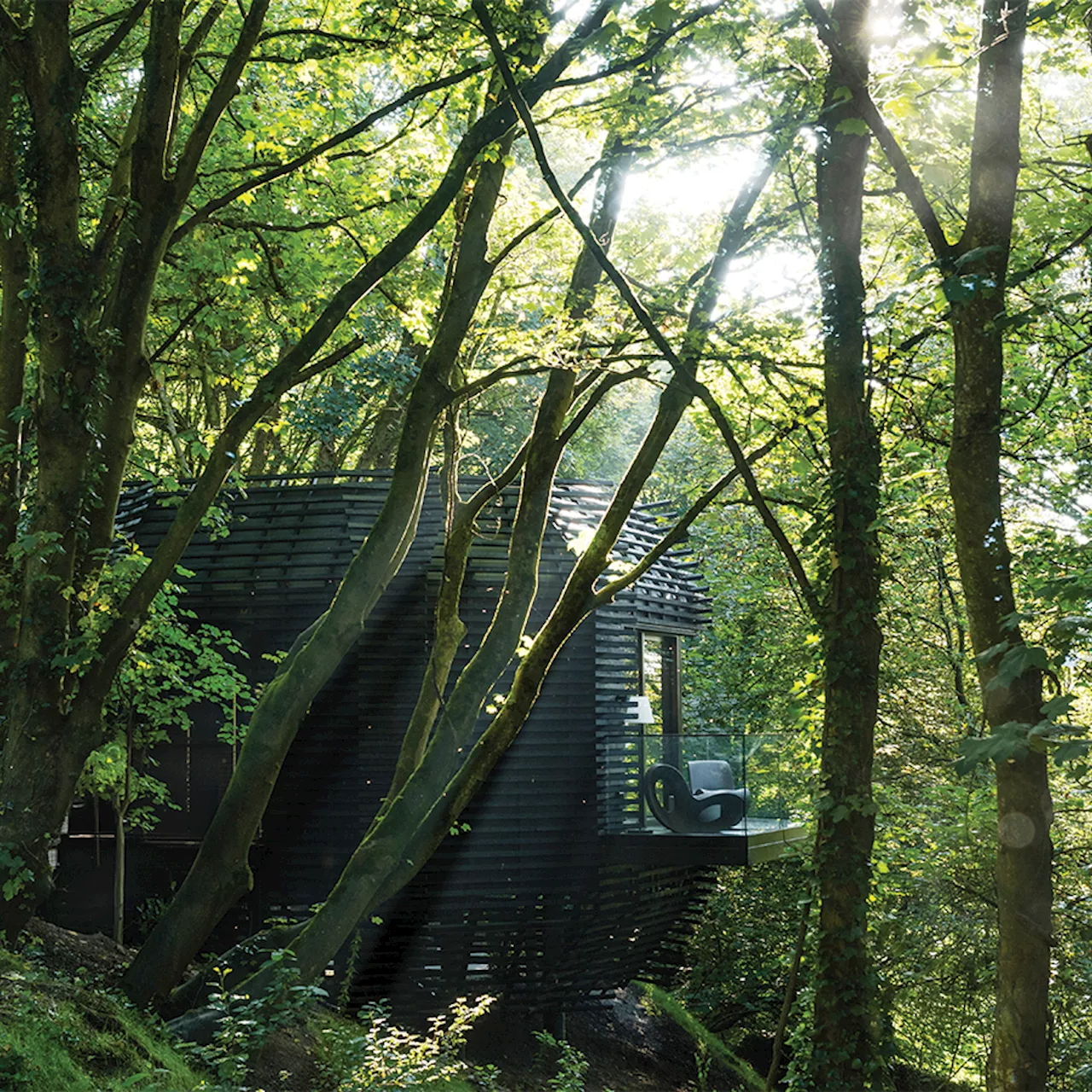 The Montenotte Hotel's River and Woodland Suites Offer a Luxurious, Eco-Conscious Escape