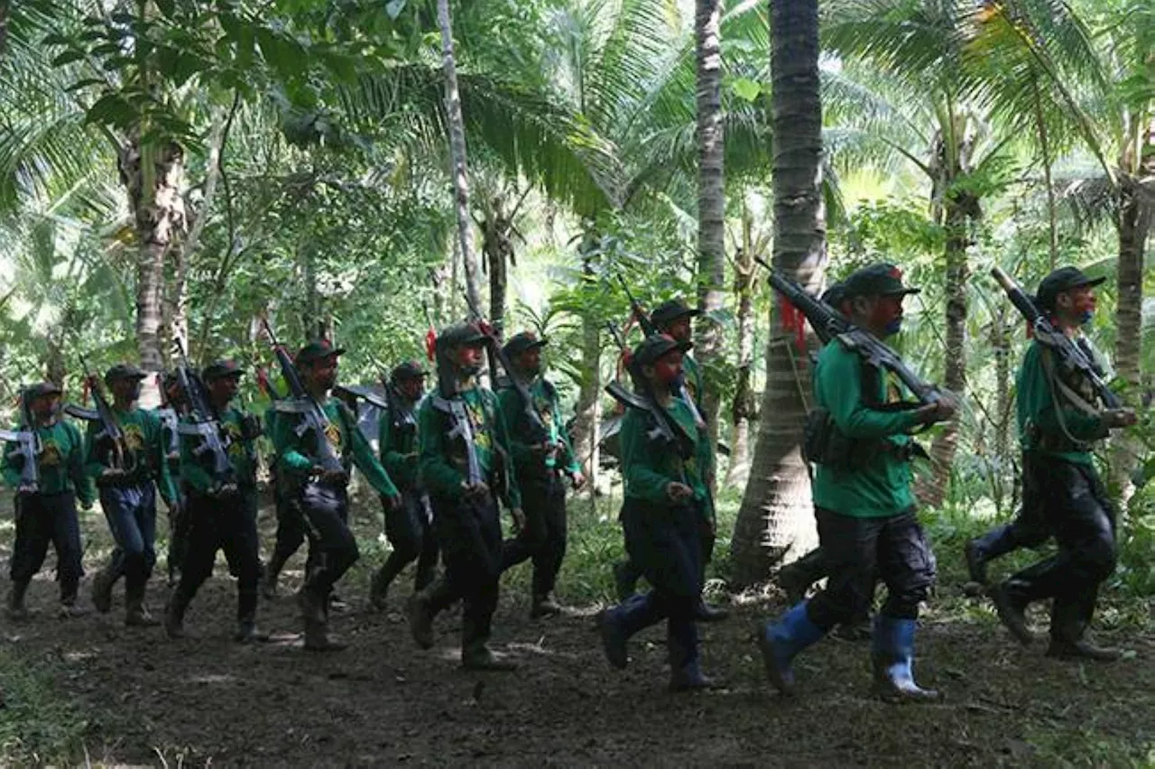 NPA Strength in Eastern Visayas Expected to Decline Further Following Firearms Recovery