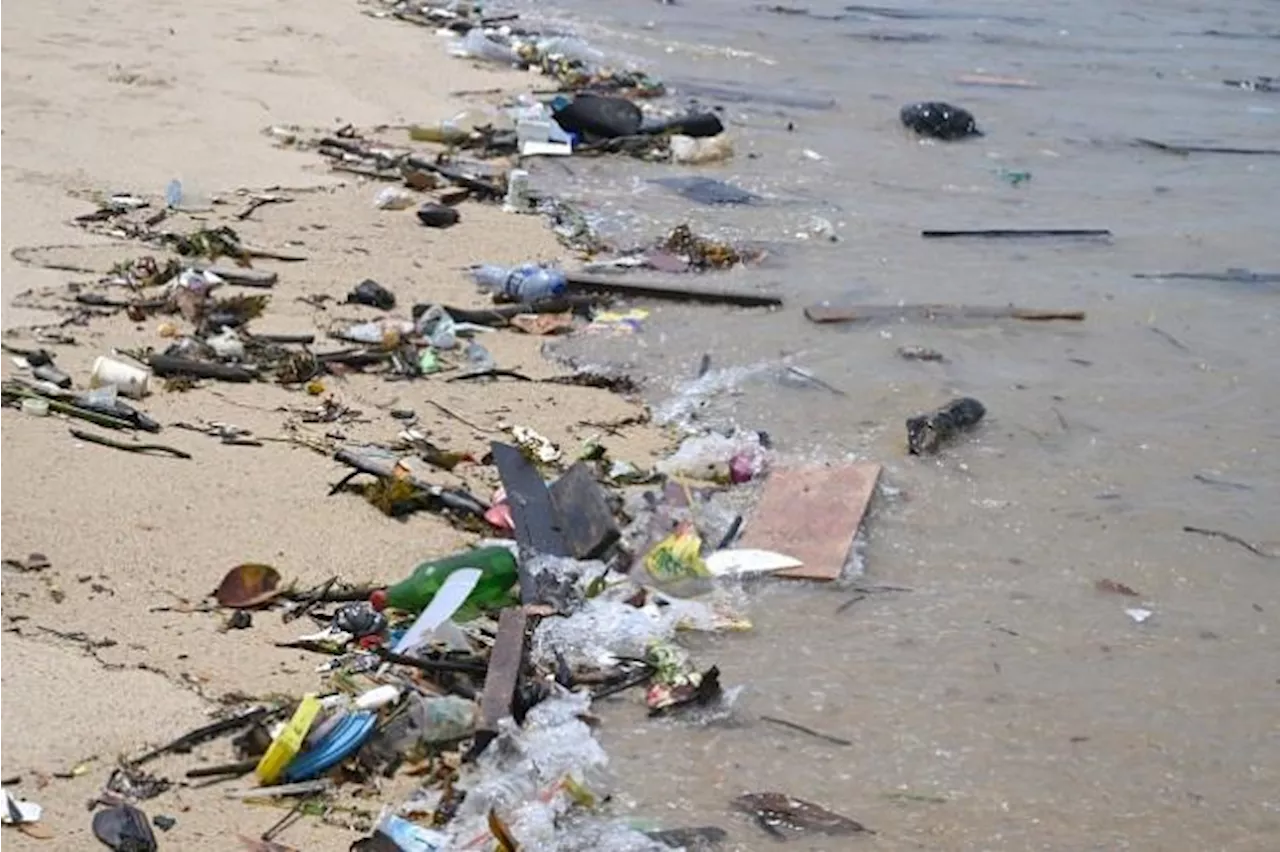 Plastic Pollution on Singapore Beaches Largely From Sea-Based Sources