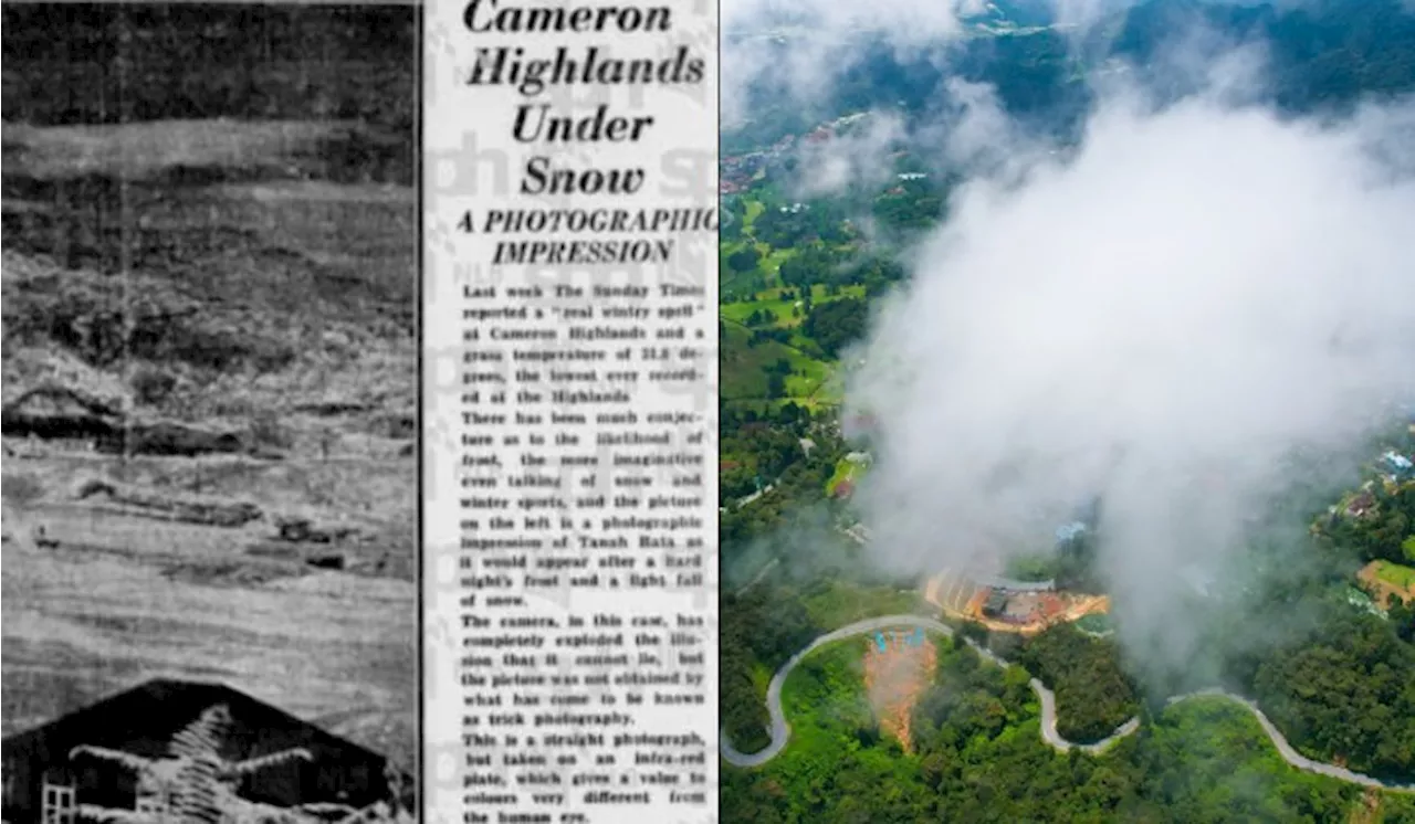 Cameron Highlands: Did it Ever Snow?