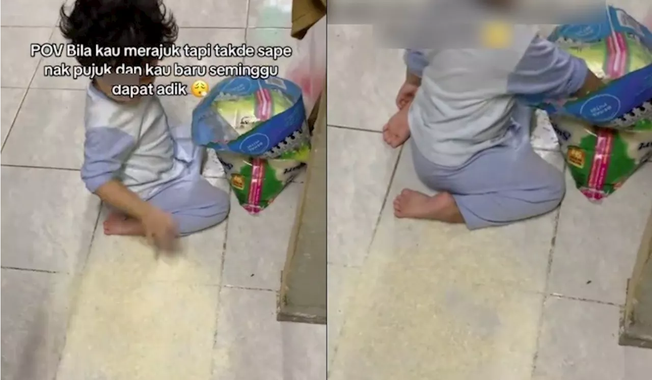 Gelagat Anak Sulung Tabur Beras Kerana Merajuk Dapat Adik Baru Buat Ramai Terhibur