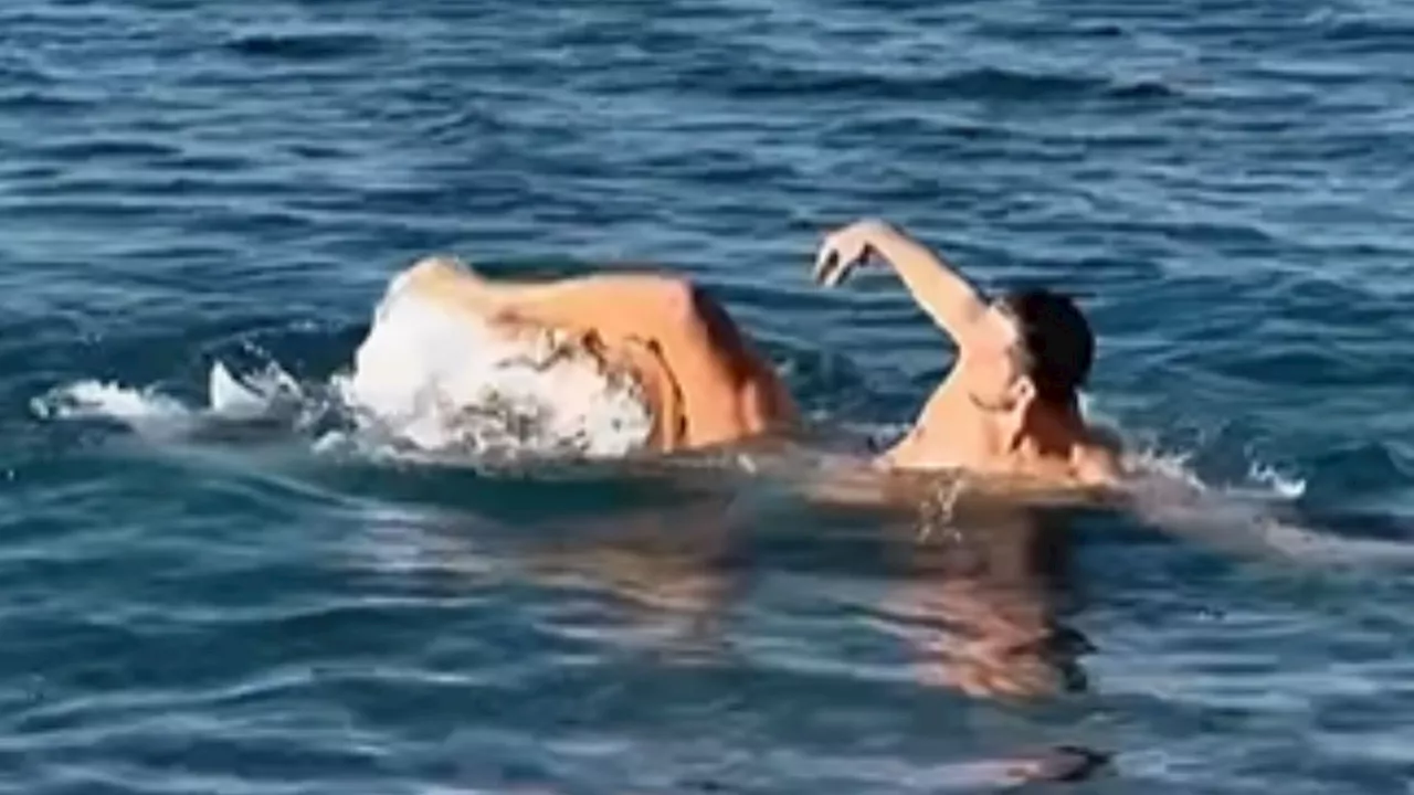 Male Model Befriends Octopus After Shocking Underwater Attack