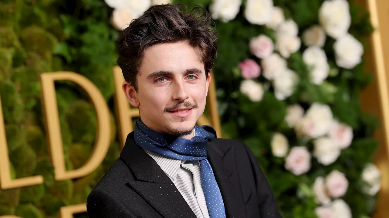 Timothée Chalamet Gets \$79 Fine for Improperly Parking Lime Bike