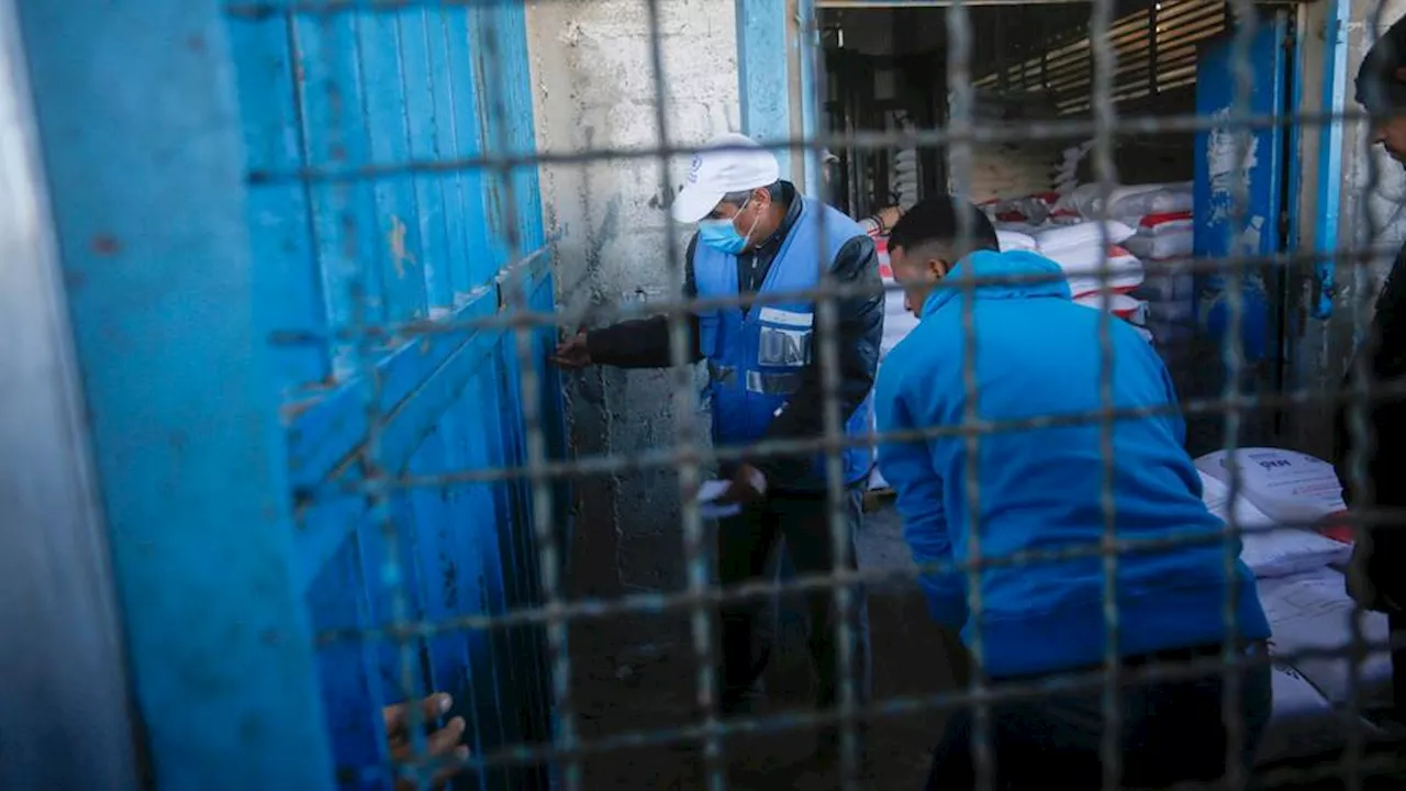 Dismantling UNRWA will be 'catastrophic' for Gaza and Palestinians — Expert