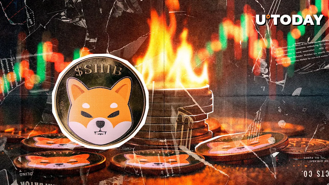 Shiba Inu Burn Rate Soars Over 100% as SHIB Price Surges