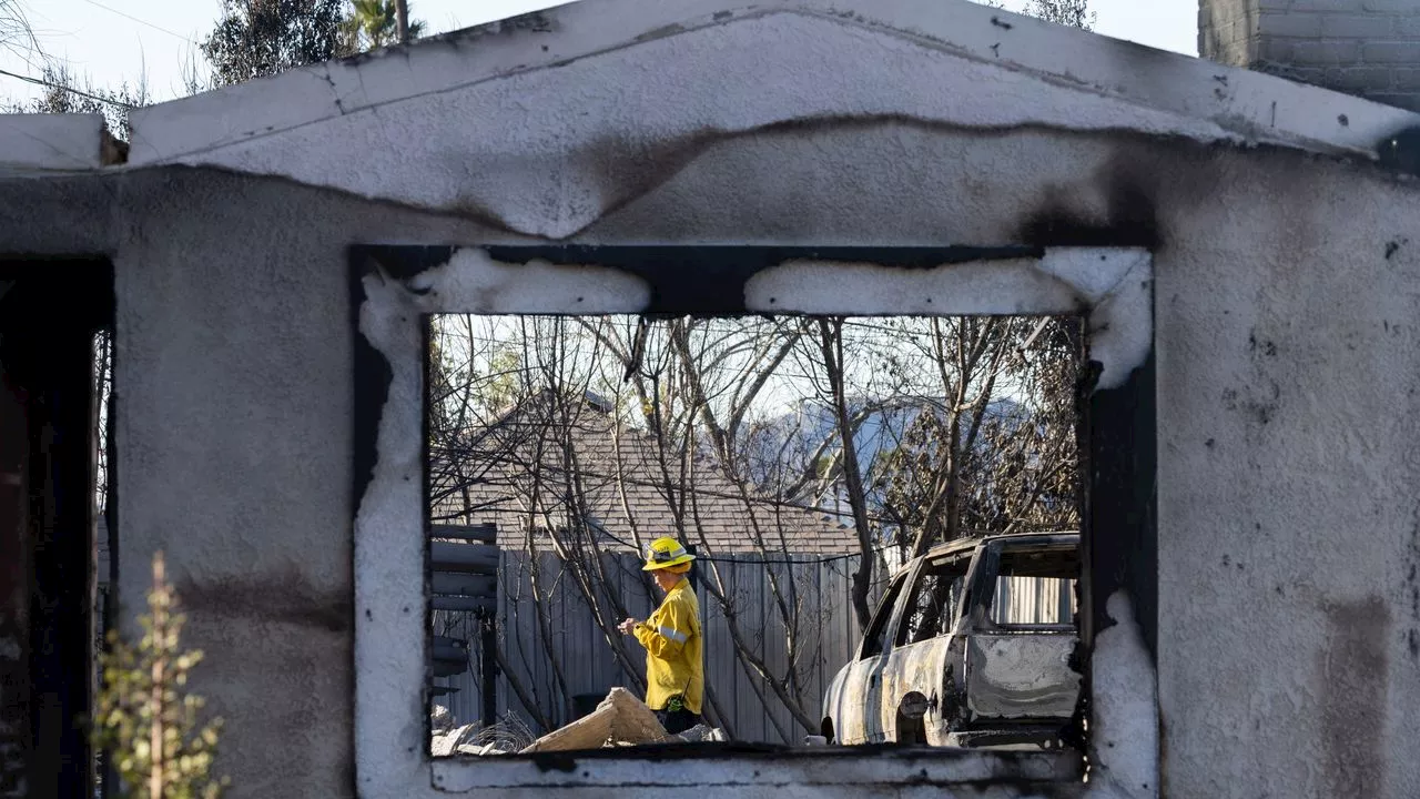 Profitant des Incendies en Californie, certains propriétaires gonflent les prix des locations