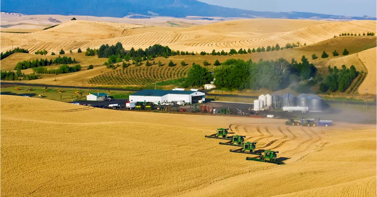 FTC sues John Deere for ‘unfairly’ raising repair costs on farm equipment