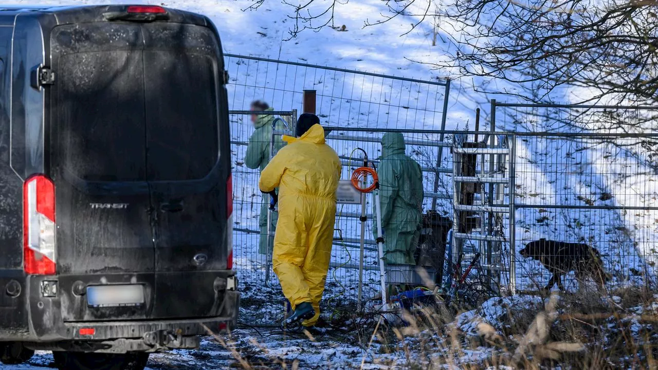 Neuer Maul- und Klauenseuche-Verdachtsfall in Brandenburg sorgt für Sorge