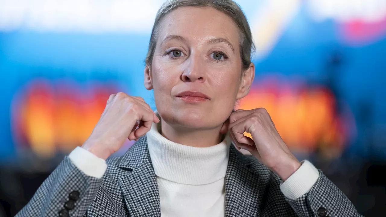 Posse um AfD-Fan: Fiel Weidel auf einen Hochstapler herein?