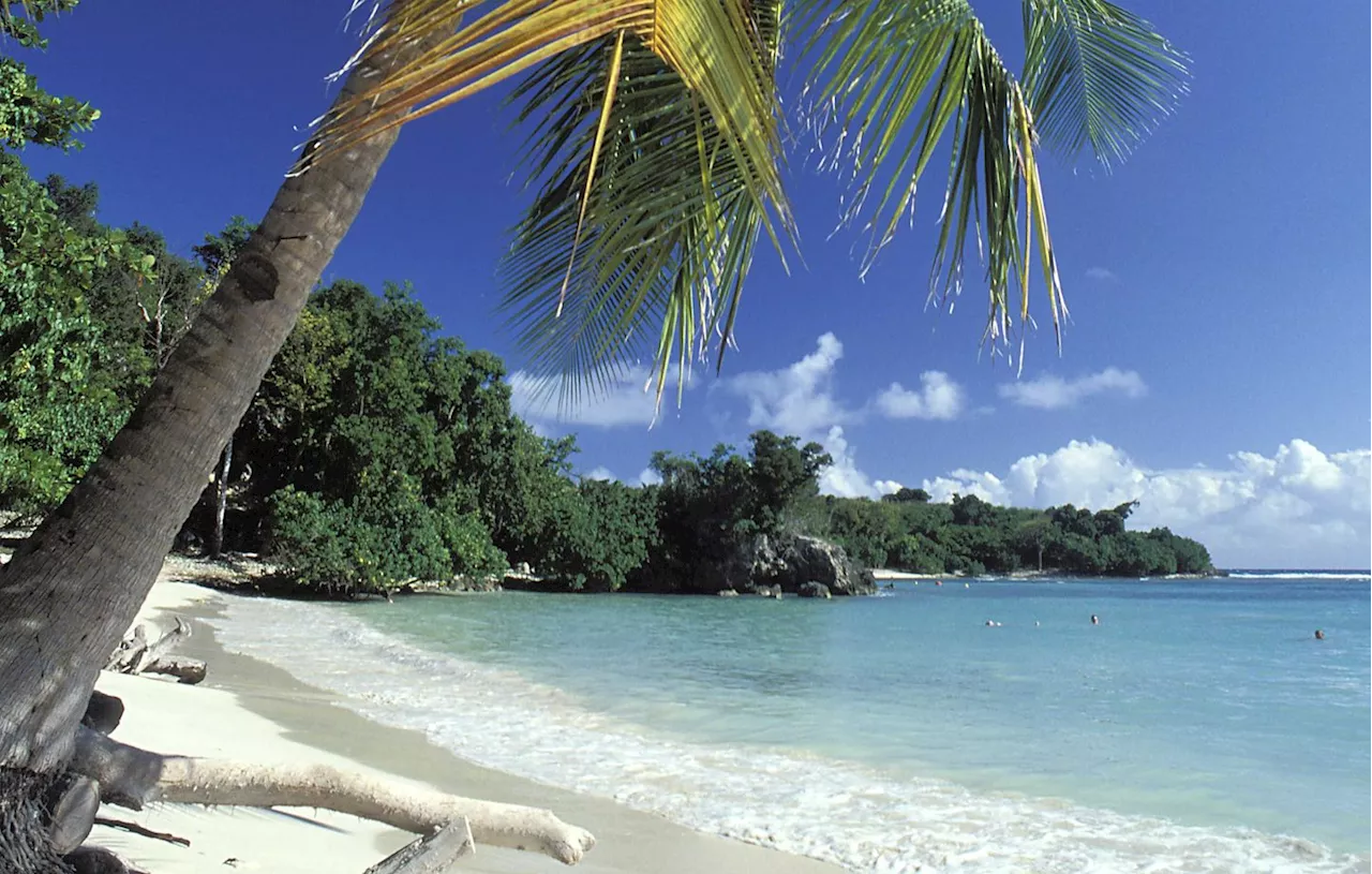 Meurtre à Petit-Havre : une jeune femme retrouvée morte sur une plage paradisiaque de Guadeloupe