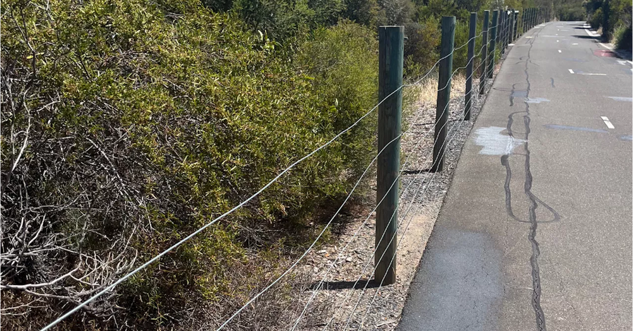 Man arrested for allegedly stringing wires across popular bike path